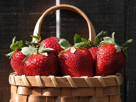 Basket-with-Strawberries.jpg