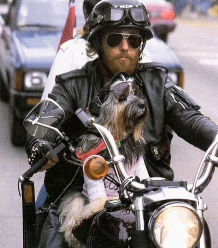 Biker-and-the-Dog.jpg