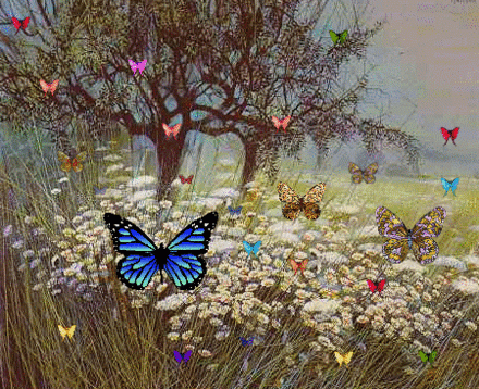 Butterflies-in-the-Field.gif