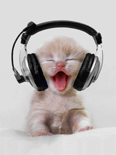 Cat-Listening-to-Music.gif