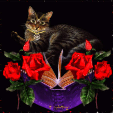 Cat-and-Flowers.gif