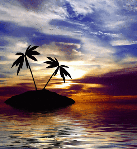 Coconut-Trees-at-Sunset.gif
