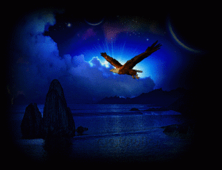 Eagle-at-Night.gif