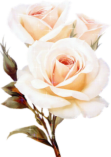Flower-on-White.png
