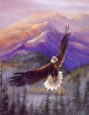 Flying-Eagle.jpg