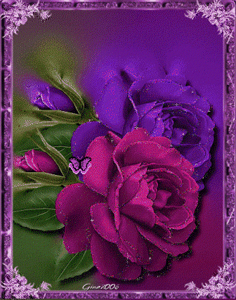 Frame-with-Pink-Flower.gif