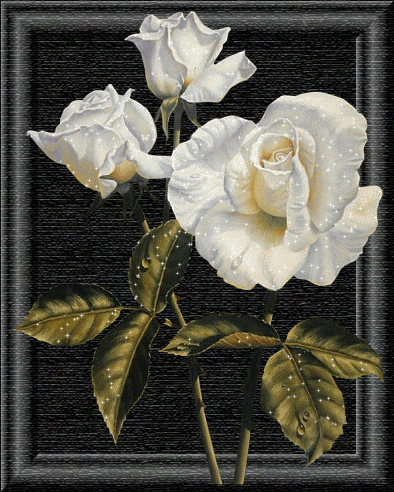 Frame-with-White-Pink-Flowers.gif