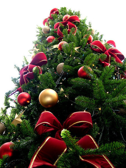 Giant-Christmas-Tree.jpg