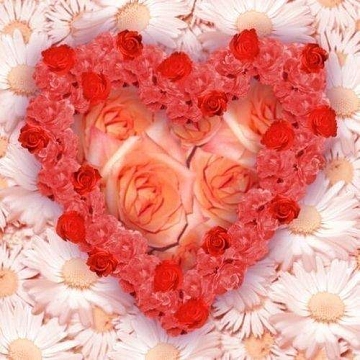 Hearts-of-Roses.jpg