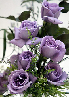 Lilac-Flowers.jpg