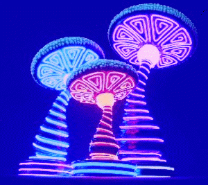 Luminous-Mushrooms.gif