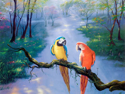 Macaws.jpg