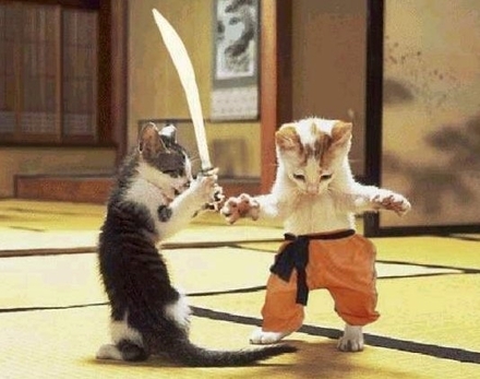 Samurai-Cats.jpg