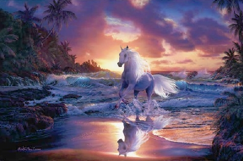 Unicorn-on-the-Beach.jpg