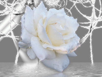 White-Flower-with-Glitter.gif