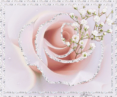 White-Rose-Flower-with-Glitter.gif