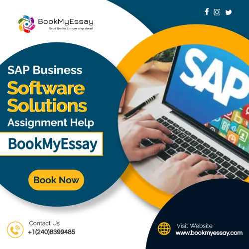 SAP Assignment Help