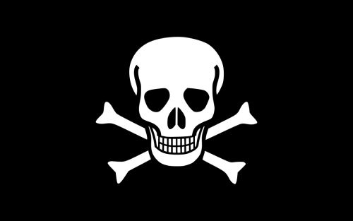 1125px Pirate Flag