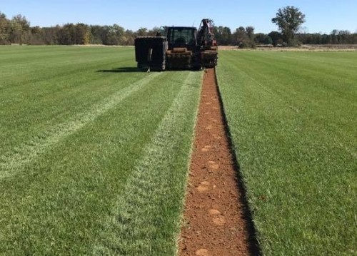Grass-Sod-Manassas.jpg