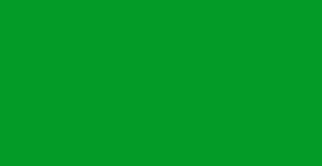 VERDE2.png