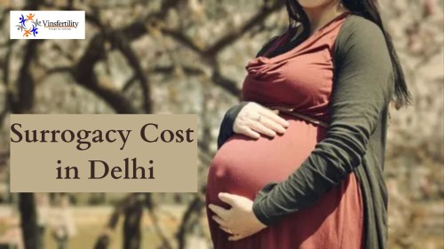 Surrogacy-Cost-in-Delhi.jpg