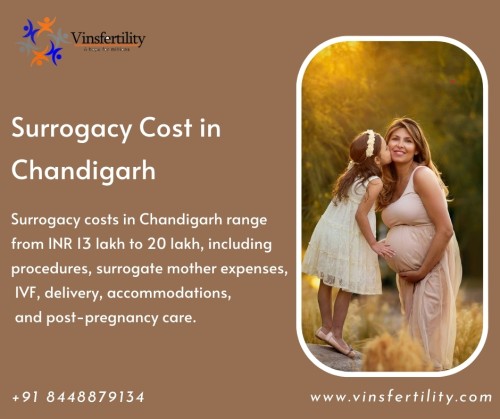 Surrogacy-Cost-in-Chandigarh.jpg