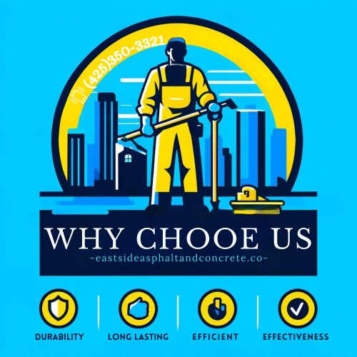 Why-Choose-US-5MP.jpg