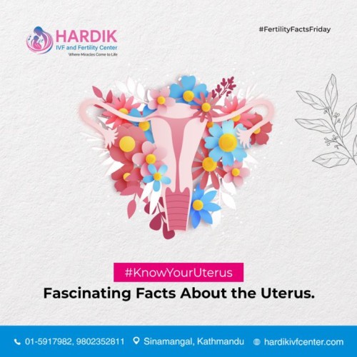 Know Your Uterus Facts About Uterus