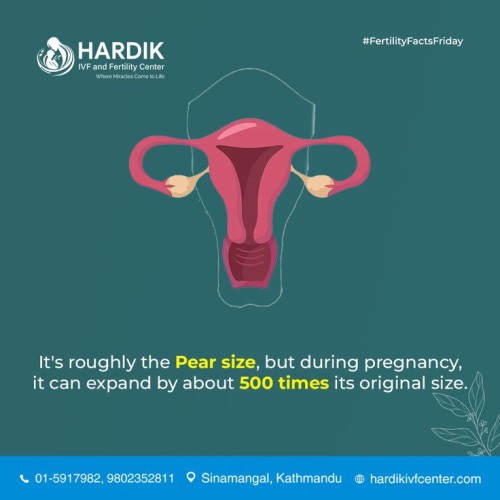 uterus expand in pregnancy time