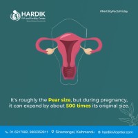 uterus-expand-in-pregnancy-time