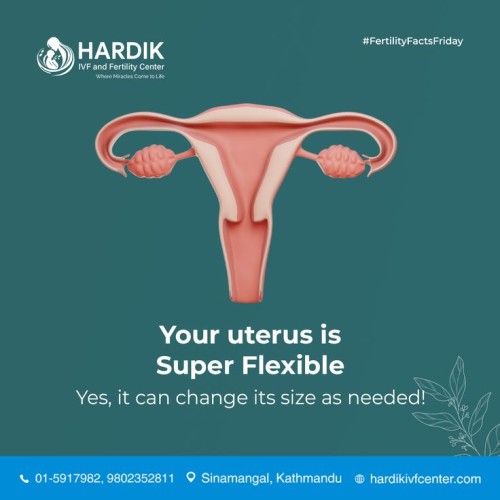 uterus is super flexible