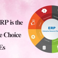 Why-Odoo-ERP-is-the-Ultimate-Choice-for-SMEs
