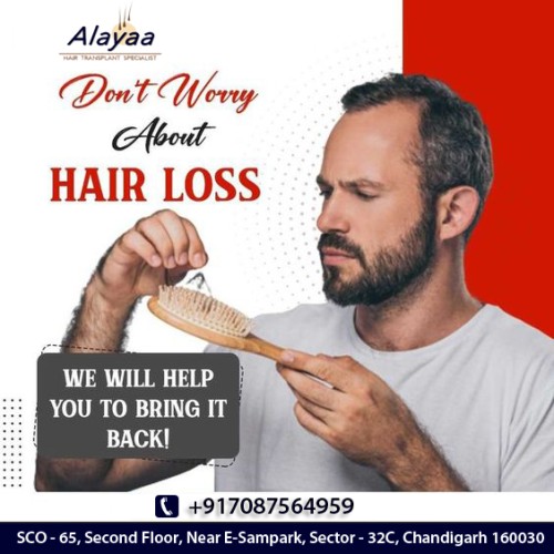 People from Chandigarh get the best hair transplant surgery at low prices from Alayaa Clinic Best Hair Transplant Clinc in Chandigarh We are the leading hair transplant clinic Chandigarh Relocated hairs develop like natural hair. These assist patients achieve a natural appearance. The transplanted hair can be trimmed, shampooed, oiled, and so on as ordinary hair.