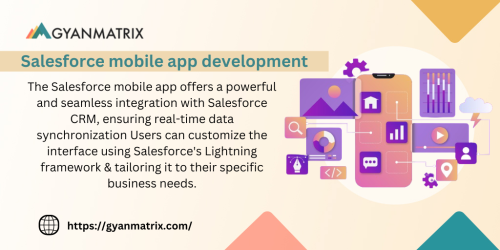 Salesforce-mobile-app-development-BI.png