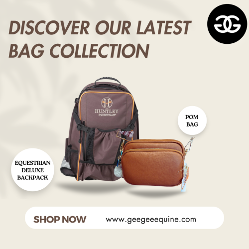 bags-and-bagpacks.png