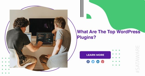 What-Are-The-Top-WordPress-Plugins-1.jpg