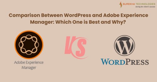 Comparison-Between-WordPress-and-Adobe-Experience-Manager-Which-One-is-Best-and-Why.jpg
