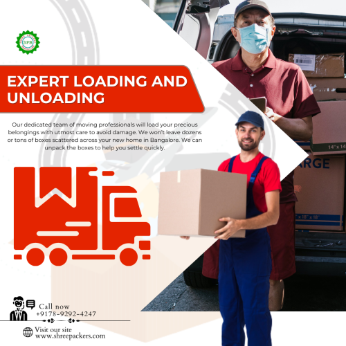 car-packers-and-movers.png