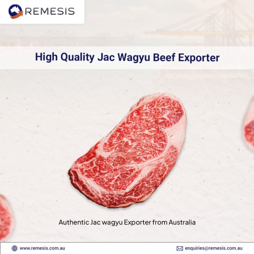 High-Quality-Wagyu-Beef-Exporter.jpg