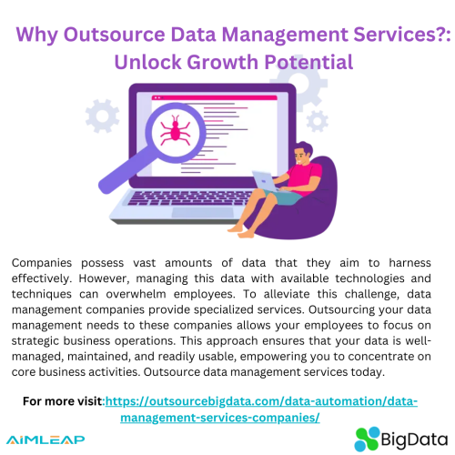 Why-Outsource-Data-Management-Services.png