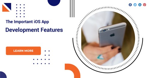 The-Important-iOS-App-Development-Features-1.jpg