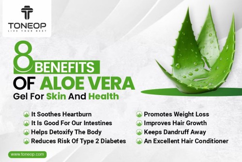 Benefits-Of-Aloe-Vera-Gel-For-Skin-And-Health.jpg
