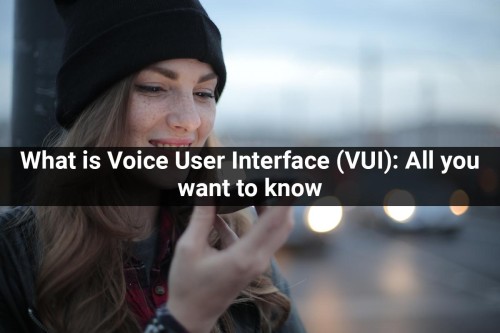 What-is-Voice-User-Interface-VUI-All-you-want-to-know.jpg
