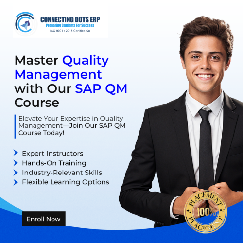 sap-1208-1.png