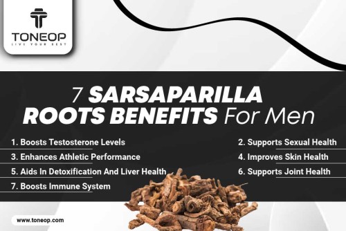 7-Sarsaparilla-Roots-Benefits-For-Men.jpg