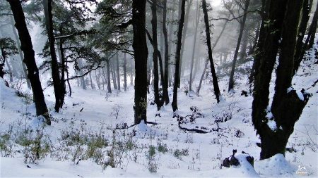 devban-winter-e1722572566602.jpg
