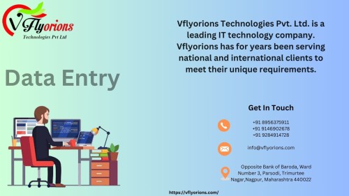 Data-vfly.jpg
