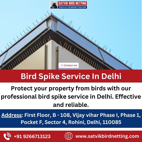 Bird-Spike-Service-In-Delhi.jpg