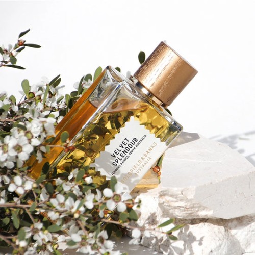 Shop-luxury-perfume-brands.jpg