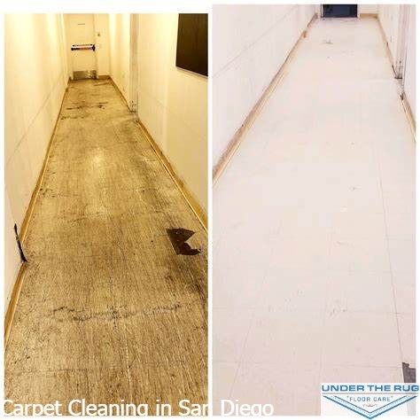 Carpet-Cleaning-in-San-Diego10.jpg